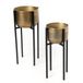 Amadeus Set met 2 plantendeuren, aluminium, goud, standaard
