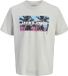 JACK & JONES JJINDIANA TEE SS CREW NECK LN T-shirt Homme M Glacier Gray Coton