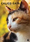 CalendarsRUs Calico Katten A3 Kalender 2027 Wandkalender Dieren