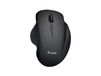 Equip 245121 Universel Droitier RF-sans fil + Bluetooth Optique 1600 DPI Souris