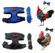 Merkloos Kippenharnas 2 stuks - Verstelbaar - Harnas voor Kippen/Honden - Comfortabel Kip/Trainingslijn - Ademend Nylon - Borstomvang 30-38 cm - Huisdierenharnas