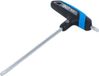 BGS technic BGS Schroevendraaier met T-greep en zijlemmet - Torx T40