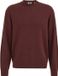 WE Fashion Heren regular fit trui van merinowol