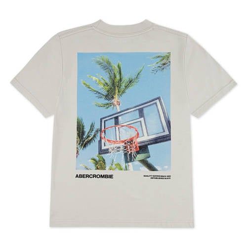 Abercrombie & Fitch jersey T-shirt met backprint beige