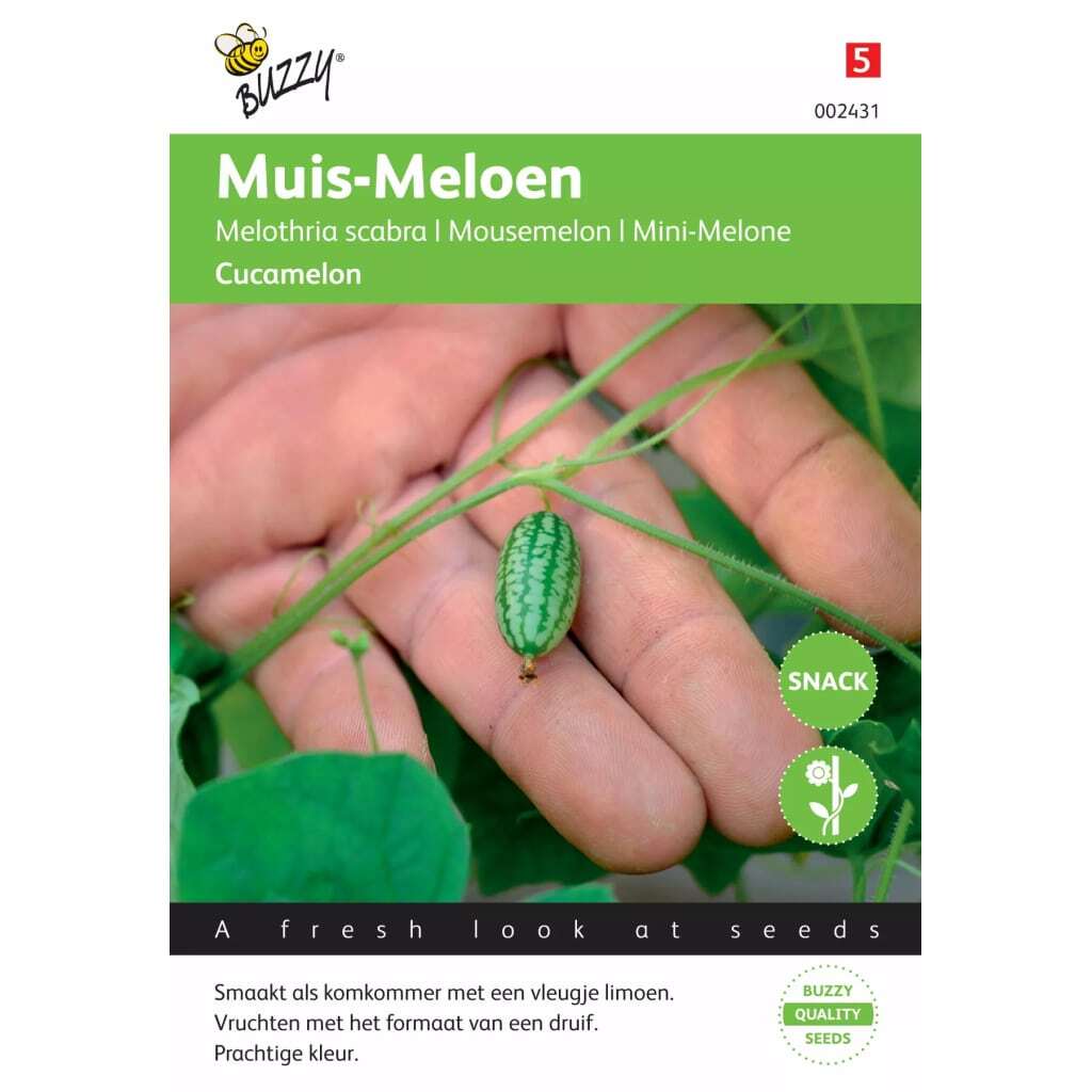 Buzzy 5 stuks Muis meloen Cucamelon Tuinplus