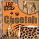 Cheetah Kidhaven Publishing Cat Files- Cheetah Paperback