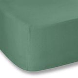 Plain Jade Plain Dyed Percale Fitted Sheet 180 x 200
