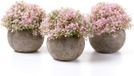 Unyqoos® Plantes artificielles et Gazon artificiel – Arbres artificiels, fleurs artificielles et arbustes en petits pots gris, décoration sans entretien pour la maison et le bureau, bonsaï pour le bureau