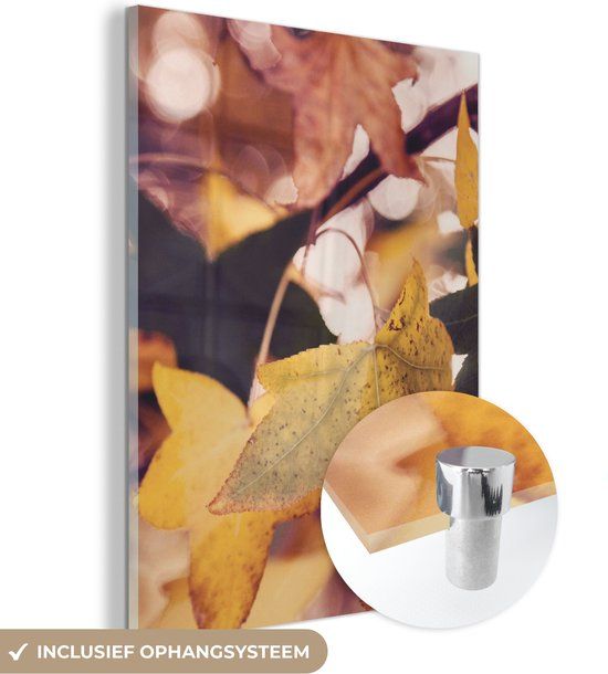 MuchoWow® Glasschilderij 30x40 cm - Acrylglas Schilderij - Bladeren - Esdoorn - Herfst - Multicolor - Modern