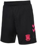 hummel Brøndby IF kinderkeeper short 2022/23