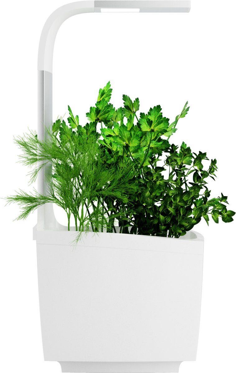 Tregren Binnentuin met LED-verlichting T3 Kitchen Garden White - tot 3 planten