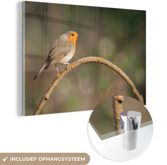 MuchoWow® Glass Painting 90x60 cm - Acrylic Glass Painting - Robin - Bird - Nature - Photo on Glass - Paintings
