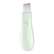 Qiweiny Aspirateur de points noirs et grattoir facial 2-en-1 Noir Vert