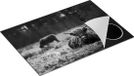Chefcare Inductie Beschermer Schotse Hooglanders - Zwart Wit - 75x50 cm