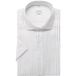 Seidensticker Chemise Manches Courtes Coupe Droite Blanc/Bleu