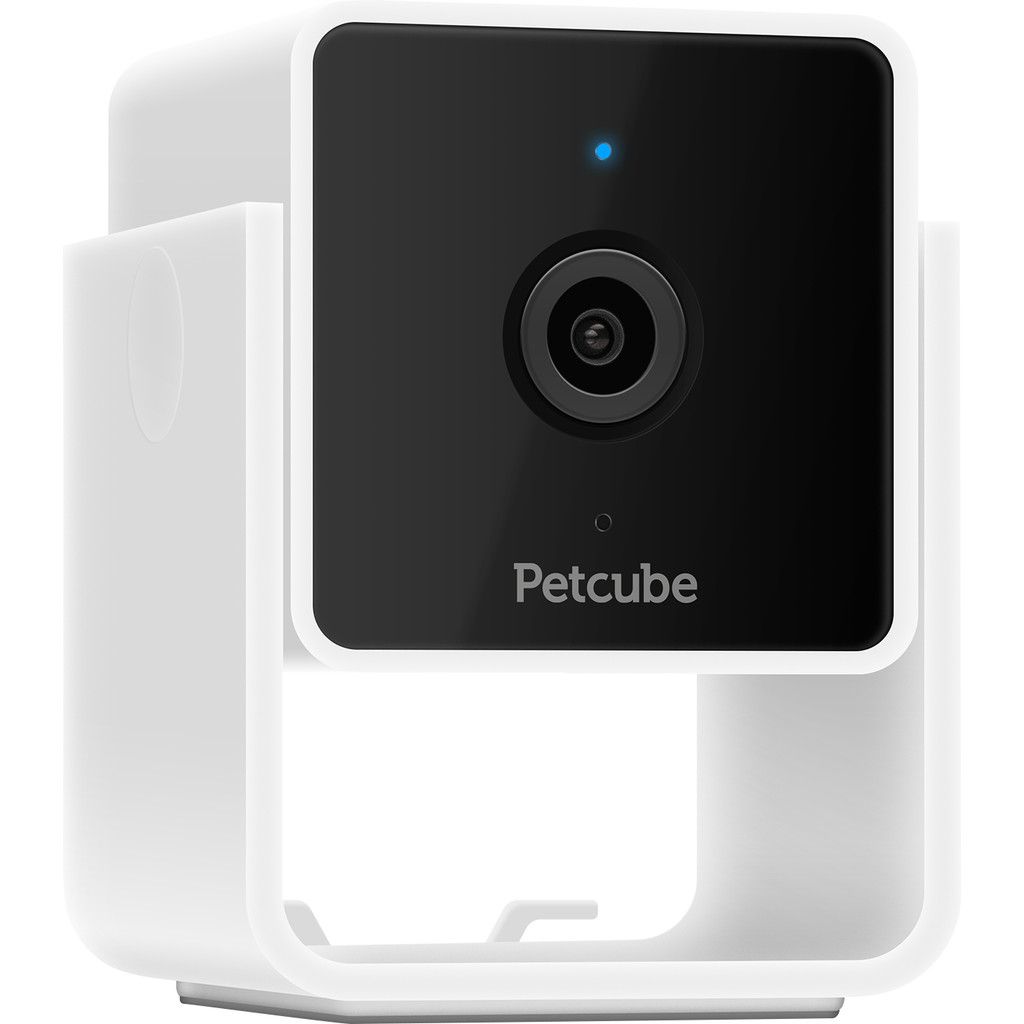 Petcube Cam - Zwart