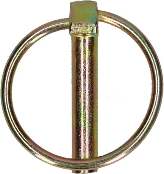 PGB-Europe Borgpen met ring 8mm verzinkt