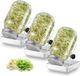 Kivora B.V. Germination Glass, Set of 3