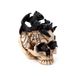 Puckator Decoratieve schedel met vleermuizen – sculptuur van hars – figuur gotisch accessoire voor thuis en Halloween