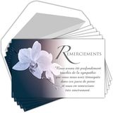 Afie C5263 Wenskaarten, formaat 135 x 85 mm, met 5 witte enveloppen - orchideeën bloemen