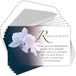 Afie C5263 Wenskaarten, formaat 135 x 85 mm, met 5 witte enveloppen - orchideeën bloemen