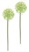 Kunstbloem Allium sierui bolbloem tak enkele bloem steelbloem bloemisterij kunstbloemen bijwerk voor kunstbloemen boeketten en boeketten bloemstukken decoratieve bloemen bloemenluik, groen