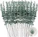 Goodivery Verfrissende Kunstmatige Eucalyptus Takken, Set van 50, Groen
