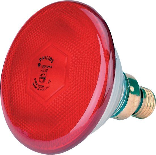 Philips Warmtelamp E 100w Rood Energie Besparend