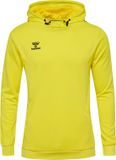 Hummel Polyester Hoodie Authentic