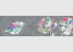Bloemen, AG Design WB 8244 Zelfklevende Rand - Muurrand Kleurrijk 0,14 x 5 m