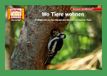 Wo Hase und Igel Verlag Wo Tiere wohnen / Kamishibai Bildkarten