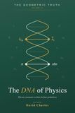 The DNA of Physics: Fundamental Constants from Four Primitives