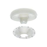 Prym - Prym plastic wit (22 mm) dekknoppen - 1 Stuk