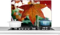 KitchenYeah Spatscherm keuken 90x60 cm - Herfst - Aluminium