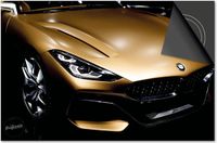Dietrix Inductie beschermer 78x52 - Black en Gold - Auto