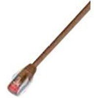 Wirewin - Verbindingskabel - RJ-45 (M) naar RJ-45 (M) - 30 m - STP - CAT 6 - afgeschermd - bruin