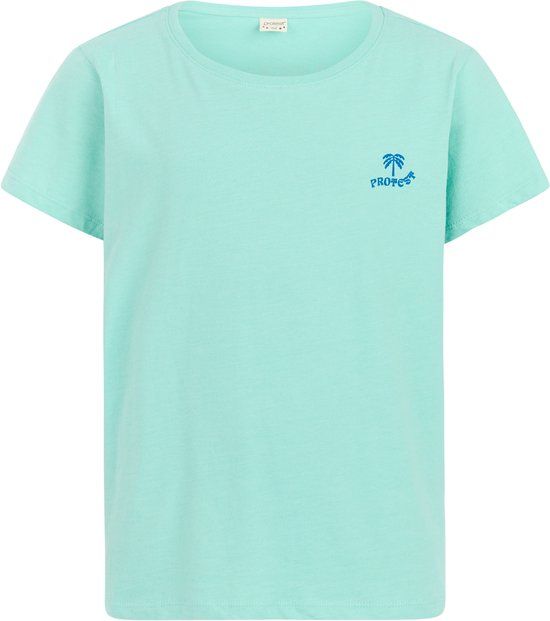 Protest PRTRoxo JR T-shirt Meisjes Korte mouwen Ronde hals Regular Fit Katoen/Polyester Meadow Green Maat 176