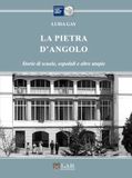 La pietra d'angolo. Storie di scuole, ospedali e altre utopie