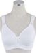 Sassa Sportbeha Vrouwen Wit 80B