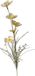 Buitengewoon Boet Buitengewoon de Boet Anemoon 60cm creme kunstbloem zijde nepbloem