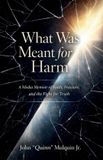 Quinn What Was Meant for Harm