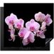 KitchenYeah® Protecteur d'induction 58.3x51.3 cm - Orchidée - Fleurs - Rose - Flora