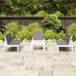 Maison Exclusive - Ensemble de jardin, composé de 4 pièces avec coussins, couleur : blanc, matériau : plastique