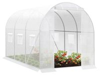StarTech Kas van folie - Tunnelkas - 300 x 200 x 200 cm - Winterbestendig - Geschikt voor tomaten en groenten - Met deur - 6 ramen - Wit