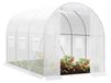 StarTech Kas van folie - Tunnelkas - 300 x 200 x 200 cm - Winterbestendig - Geschikt voor tomaten en groenten - Met deur - 6 ramen - Wit