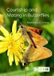 Courtship Cabi Publishing Courtship and Mating in Butterflies Paperback