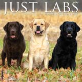 Willow Creek Press Labs 2027 12 X 12 Wall Calendar
