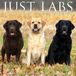Willow Creek Press Labs 2027 12 X 12 Wall Calendar