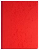 Exacompta - Ref. 6470E – 1 steeksteek – 15 kolommen op 2 pagina's – 1 formulering – 33 regels – 80 vellen – formaat 320 x 250 mm – 4 willekeurige kleuren, geel, blauw, rood, groen