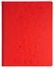 Exacompta - Ref. 6470E – 1 steeksteek – 15 kolommen op 2 pagina's – 1 formulering – 33 regels – 80 vellen – formaat 320 x 250 mm – 4 willekeurige kleuren, geel, blauw, rood, groen